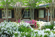 109.4 garden bench- azaleas